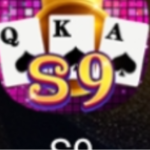 S9 Game